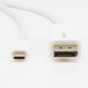 Rocstor  câble vidéo et adaptateur 1 m DisplayPort USB Type-C Blanc - Y10C239-W1