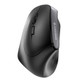 CHERRY MW 4500 LEFT Souris ergonomique sans fil, pour gauchers, noir, USB - JW-4550