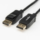 Rocstor  câble DisplayPort 1 m Noir - Y10C234-B1