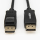 Rocstor  câble DisplayPort 1,8 m Noir - Y10C235-B1