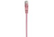Intellinet 0.3m Cat6 UTP câble de réseau Rose 0,3 m U/UTP (UTP) - 329743