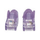 Intellinet IEC-C6-PRP-75 câble de réseau Violet 22,5 m Cat6a S/FTP (S-STP) - 740395