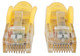 Intellinet Cat6 UTP, 1.5m câble de réseau Jaune 1,5 m U/UTP (UTP) - 342353