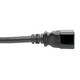 Tripp Lite  câble électrique Noir 3 m IEC C20 IEC C19 - P036-L10