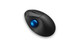 Kensington Pro Fit Ergo TB450 souris Bureau Droitier RF sans fil + Bluetooth Trackball 1600 DPI - K72194WW