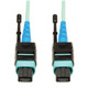 Tripp Lite  câble InfiniBand et à fibres optiques 4,88 m MTP Noir, Turquoise - N846-05M-24-P