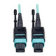 Tripp Lite  câble InfiniBand et à fibres optiques 1,83 m MTP Noir, Turquoise - N844-02M-12-P