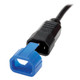 Tripp Lite  câble antivol Bleu - PLC13BL