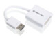 iogear DisplayPort - DVI Blanc - GDPDVIW6