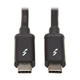 Tripp Lite  Câble Thunderbolt 1 m 20 Gbit/s Noir - MTB3-01M-5A-B