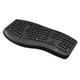 Adesso  clavier Souris incluse Universel RF sans fil QWERTY Anglais américain Noir - WKB-1600CB