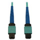 Tripp Lite  câble InfiniBand et à fibres optiques MPO/MTP OFNR Couleur aqua, Noir, Bleu - N846B-15M-24-P
