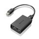 Lenovo DisplayPort to Dual-DisplayPort Monitor Cable USB A Noir - 0B47092
