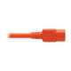Tripp Lite  câble électrique Orange 0,6 m Coupleur C14 Coupleur C15 - P018-002-AOR