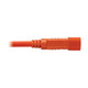 Tripp Lite  câble électrique Orange 0,6 m Coupleur C14 Coupleur C15 - P018-002-AOR