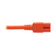 Tripp Lite  câble électrique Orange 0,6 m Coupleur C14 Coupleur C15 - P018-002-AOR