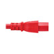Eaton  câble électrique Rouge 3,1 m Coupleur C14 Coupleur C15 - P018-010-ARD