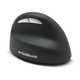 Goldtouch Semi souris Bureau Droitier RF sans fil Optique 1600 DPI - GSV-RMW