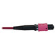Tripp Lite  câble InfiniBand et à fibres optiques 2 m MPO/MTP OFNR Noir, Magenta - N845B-02M-12-MG