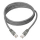 Tripp Lite  câble de réseau Gris 1,52 m Cat6a S/UTP (STP) - N262-005-GY