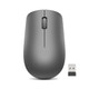 Lenovo 530 souris Bureau Ambidextre RF sans fil Optique 1200 DPI - GY50Z49089