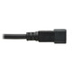Tripp Lite  câble électrique Noir 4,57 m Coupleur C19 Coupleur C20 - P036-015-15A