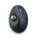 Kensington Trackball Pro Fit Ergo TB550 - K72196WW