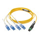 Tripp Lite  câble InfiniBand et à fibres optiques 3 m MTP LC OFNP Jaune - N390-03M-8LC-AP