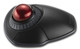 Kensington  souris Bureau Ambidextre RF sans fil + Bluetooth Optique 1600 DPI - K70990WW