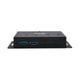 Tripp Lite  hub & concentrateur USB 3.2 Gen 2 (3.1 Gen 2) Type-C 10000 Mbit/s Noir - U460-2A2C-IND