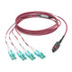 Tripp Lite  câble InfiniBand et à fibres optiques 1 m MPO/MTP 8x LC Noir, Magenta, Turquoise - N845-01M-8L-MG