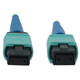 Tripp Lite  câble InfiniBand et à fibres optiques 1 m MPO/MTP OFNR Couleur aqua, Noir, Bleu - N846B-01M-24-P