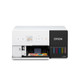 Epson SureLab D570 imprimante photo Dye Ink 1440 x 720 DPI Wifi - SLD570SE