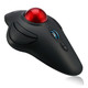 Adesso iMouse T40 souris Bureau Ambidextre RF sans fil Trackball 4800 DPI - IMOUSE T40