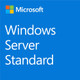 Microsoft Windows Server Standard 2022 1 licence(s) - P73-08385