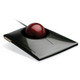 Kensington  souris USB Type-A Trackball - K72327US
