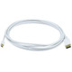 Monoprice  câble DisplayPort 3,048 m Mini DisplayPort Blanc - 6008