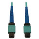 Tripp Lite  câble InfiniBand et à fibres optiques 2 m MPO/MTP OFNR Couleur aqua, Noir, Bleu - N846B-02M-24-P