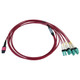 Tripp Lite  câble InfiniBand et à fibres optiques 2 m MPO/MTP 4x LC OFNR Couleur aqua, Noir, Magenta - N845X-02M-8L-MG