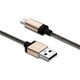 Verbatim  câble Lightning 0,27 m Champagne - 99216