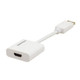 Kramer Electronics  câble vidéo et adaptateur DisplayPort HDMI Type A (Standard) - ADC-DPM/HF/UHD