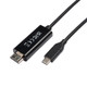 V7  câble vidéo et adaptateur USB Type-C 3.2 Gen 1 HDMI Noir - V7UCHDMI-1M