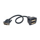 Tripp Lite  câble DVI 0,31 m DVI-D 2 x DVI-D Noir - P564-001
