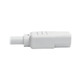 Tripp Lite  câble électrique Blanc 0,6 m Coupleur C13 Coupleur C14 - P004-002-AWH