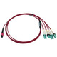 Tripp Lite  câble InfiniBand et à fibres optiques 1 m MPO/MTP 4x LC OFNR Couleur aqua, Noir, Magenta - N845X-01M-8L-MG