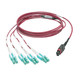 Tripp Lite  câble InfiniBand et à fibres optiques 3 m MPO/MTP 8x LC CMP Noir, Magenta, Turquoise - N845-03M-8L-MG