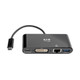 Tripp Lite  station d'accueil USB 3.2 Gen 2 (3.1 Gen 2) Type-C Noir - U444-06N-DGUB-C