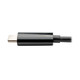 Tripp Lite  station d'accueil USB 3.2 Gen 2 (3.1 Gen 2) Type-C Noir - U444-06N-DGUB-C
