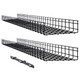 Tripp Lite  chemin de câble Support de câble droit Noir - SRWB12410X2STR