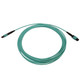 Tripp Lite  câble InfiniBand et à fibres optiques 5 m MPO/MTP OFNR Couleur aqua, Noir - N842B-05M-12-MF